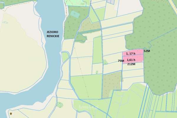Działki rolne w Renicach, porośnięte drzewami