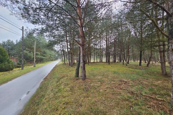 Działka w Rybakowie przy drodze asfaltowej