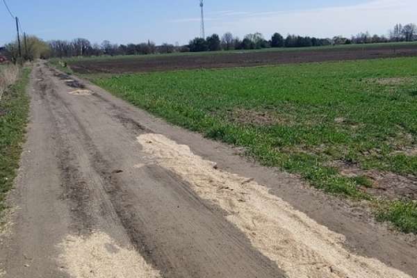 Atrakcyjne działki budowlane w Gorzowie Wlkp
