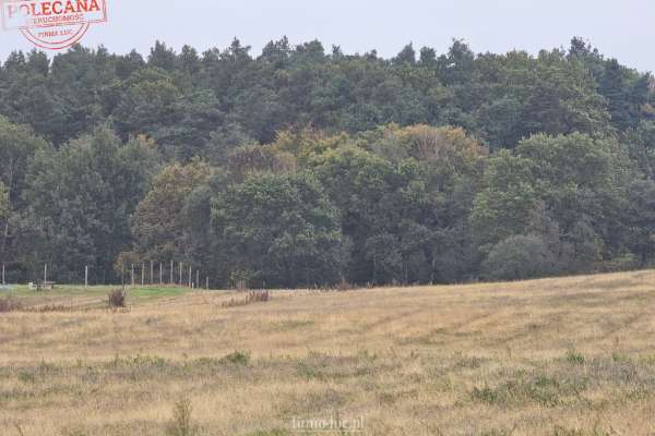 Działka z dostępem do lasu, obok jeziora Polnego