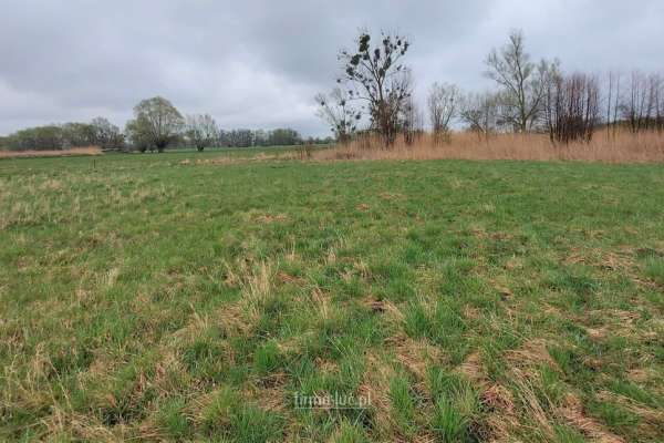 DZIAŁKA W PRĄDOCINIE PRZY LESIE OKAZJA!