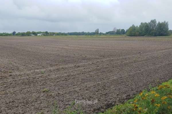 Atrakcyjne działki w Gorzowie Wielkopolskim