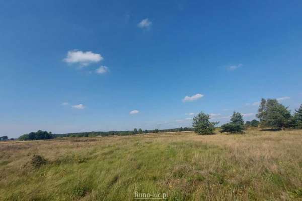 Działki - os. Poznańskie - ul. Migdałowa