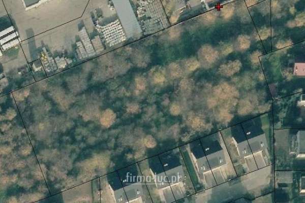 DZIAŁKA, GORZÓW WIELKOPOLSKI, JANICE