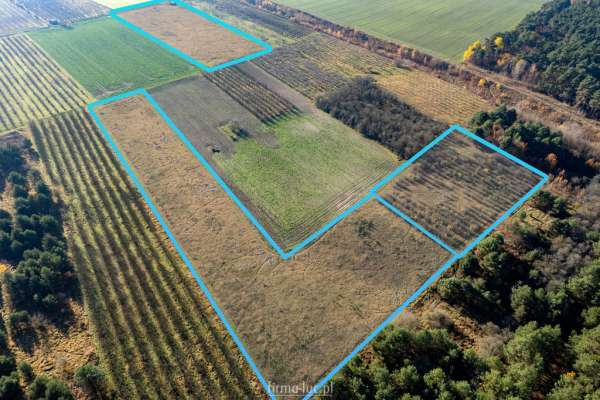 ul. Wiśniowa/Czereśniowa - różne metraże 40 zł/m2