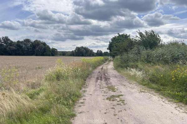 Działka rolna w Gorzowie  Wielkopolskim.