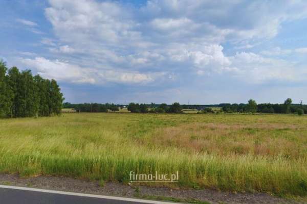 Działka rolno-budowlana w Nowym Kurowie z WZ