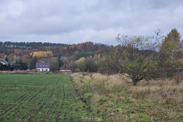 Działka uprawna/rolna Wieprzyce