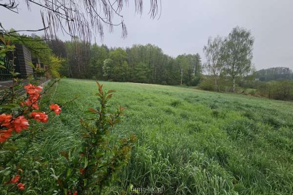 Santocko - oaza spokoju przy lesie, MPZP