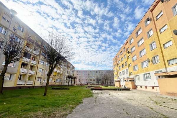 OGROMNY POTENCJAŁ- 3 POKOJE W DĘBNIE!